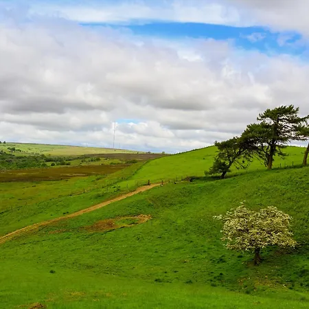 Hébergement de vacances Tiggywinkle