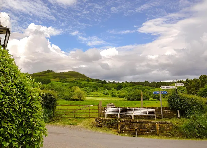 Tiggywinkle Holiday home *