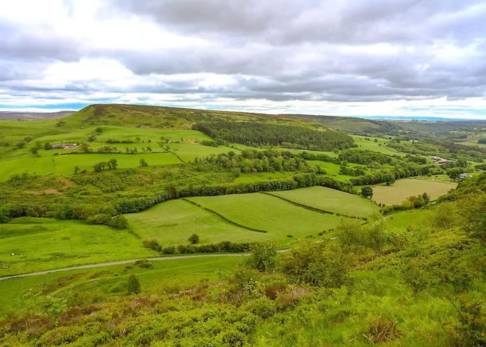 Tiggywinkle * Hawnby