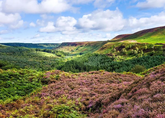 Tiggywinkle Holiday home *