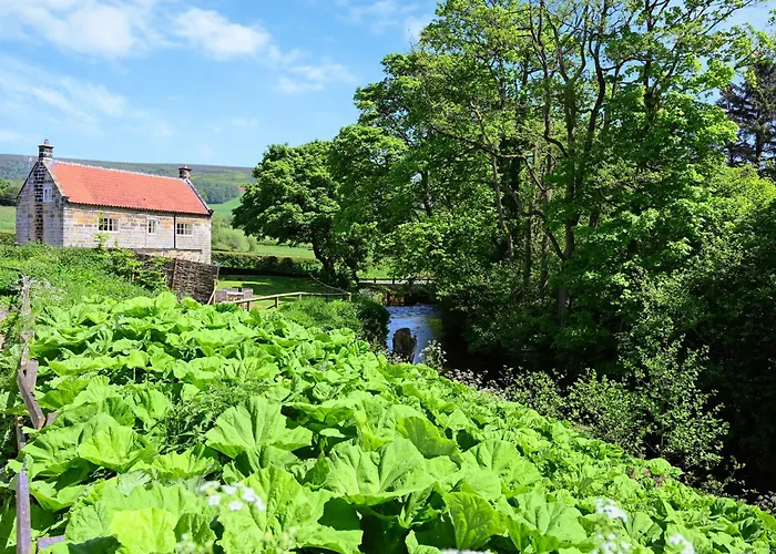 Tiggywinkle * Hawnby